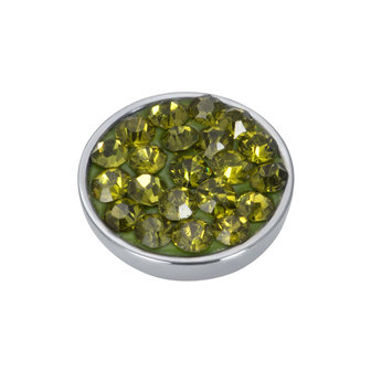 iXXXi Top Part Olivina Stone Zilverkleurig