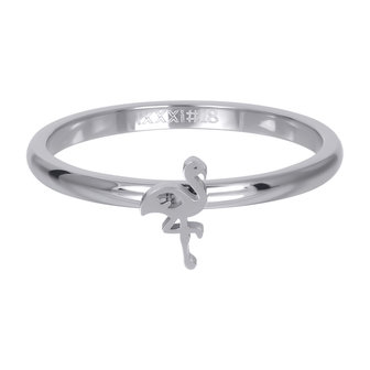 iXXXi Ring 2mm Zilverkleurig Flamingo