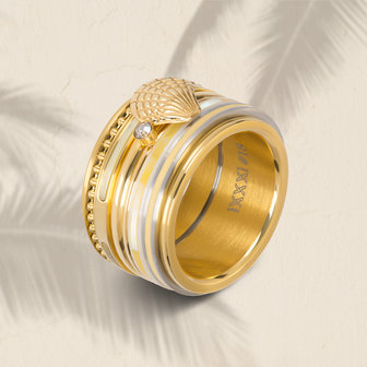 iXXXi Ring 2mm Goudkleurig Bonaire