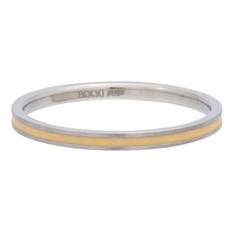 iXXXi Ring 2mm Edelstaal Line Yellow