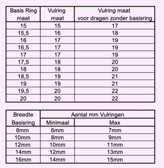 iXXXi Ring 2mm Flow Zilverkleurig