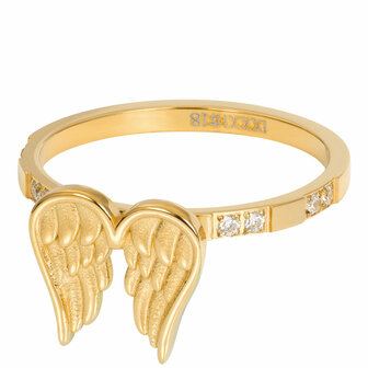 iXXXi Ring 2mm Wings Goudkleurig