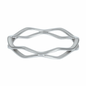 iXXXi Fame Ring 4mm Modern Zilverkleurig