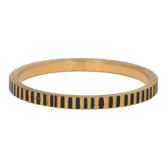 iXXXi Ring 2mm Edelstaal Cartels Goud-kleurig
