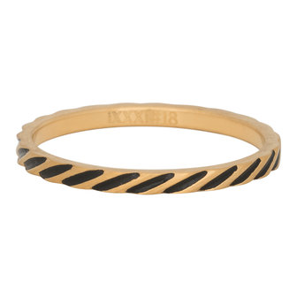 iXXXi Ring 2mm Edelstaal Slanting Stripes Goud-kleurig