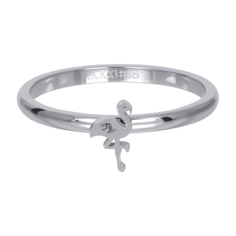 iXXXi Ring 2mm Zilverkleurig Flamingo