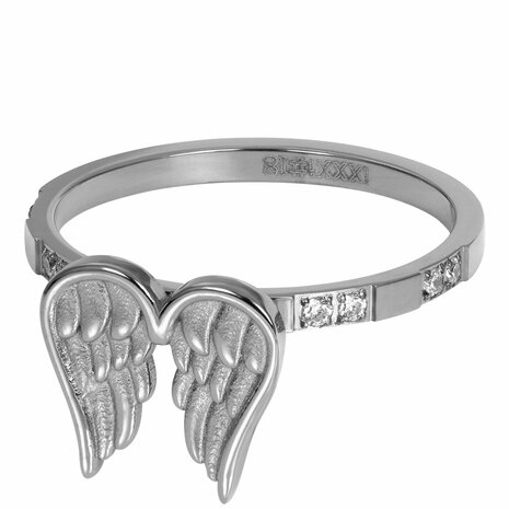 iXXXi Ring 2mm Wings Zilverkleurig