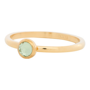 iXXXi Ring 2mm Edelstaal Goudkleurig Natuursteen Light Green