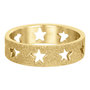 iXXXi Ring 6mm Goudkleurig Open Stars Sandblasted