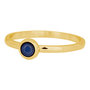 iXXXi Ring 2mm Edelstaal Goudkleurig Natuursteen Navy Blue