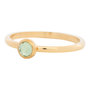 iXXXi Ring 2mm Edelstaal Goudkleurig Natuursteen Light Green