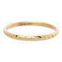 iXXXi Ring 2mm Edelstaal Piramide Goudkleurig