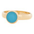 iXXXi Ring 4mm Edelstaal Goudkleurig 10mm Cateye Matt Aqua_