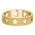 iXXXi Ring 6mm Goudkleurig Open Stars Sandblasted_